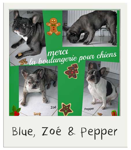 Blue, Zoe et Pepper